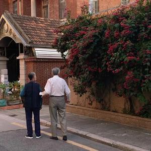 白峰美羽一级无码
