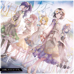 白峰美羽一级无码
