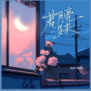 白峰美羽一级无码
